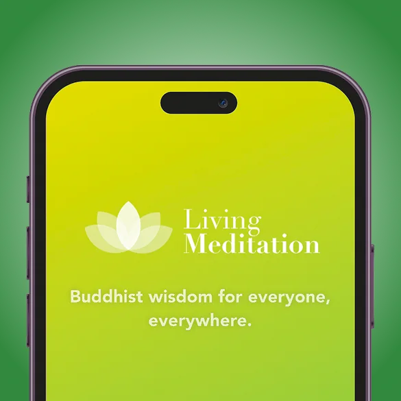 Living Meditation v2